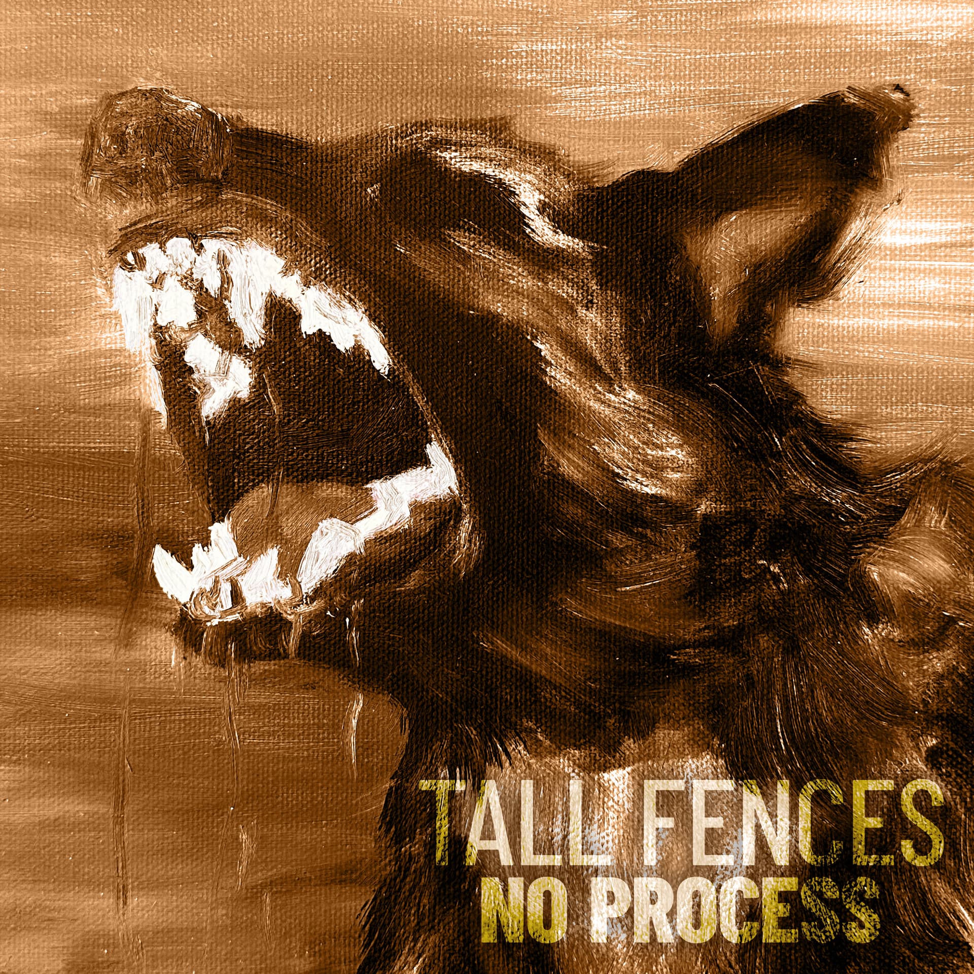 Tall Fences press photo 2