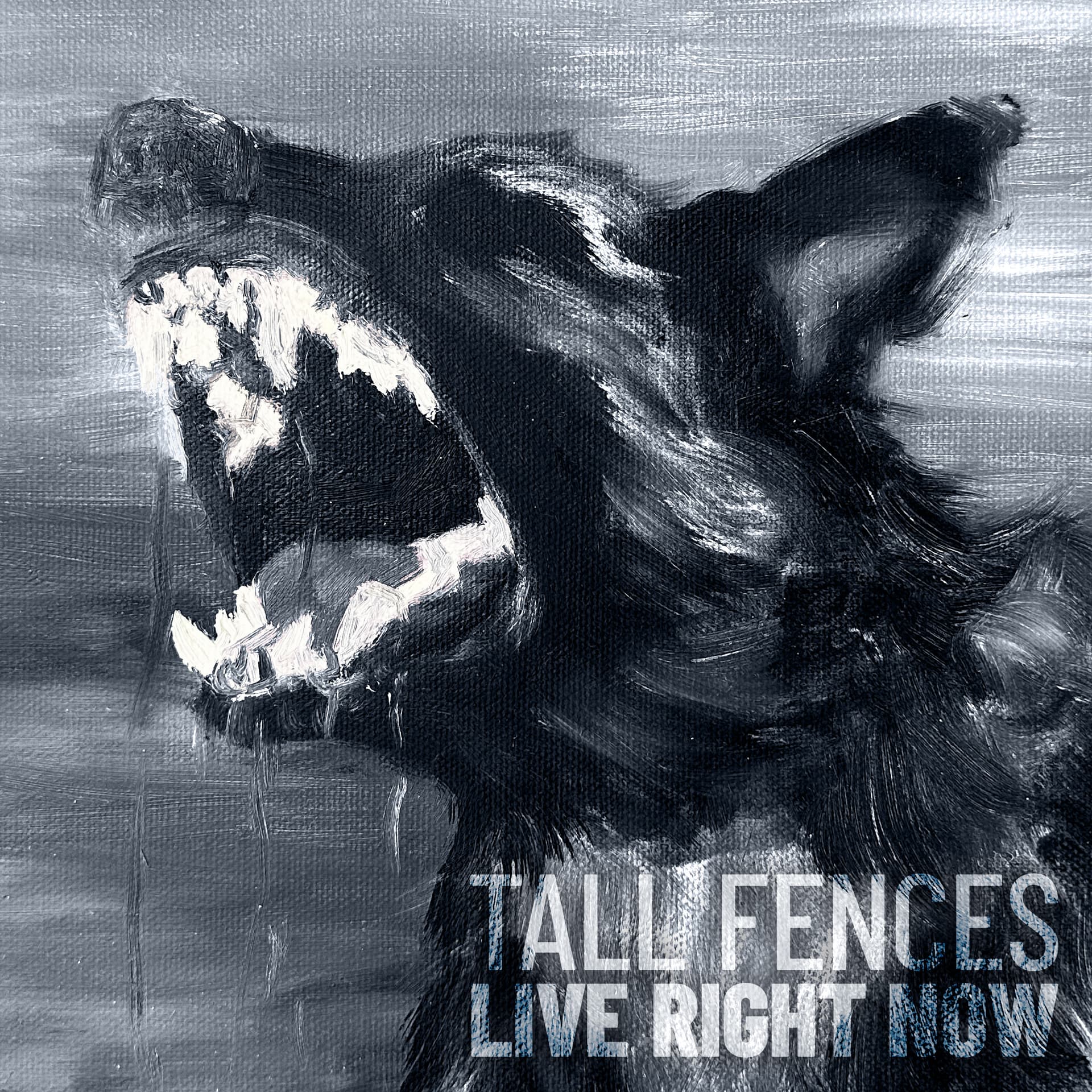 Tall Fences press photo 3
