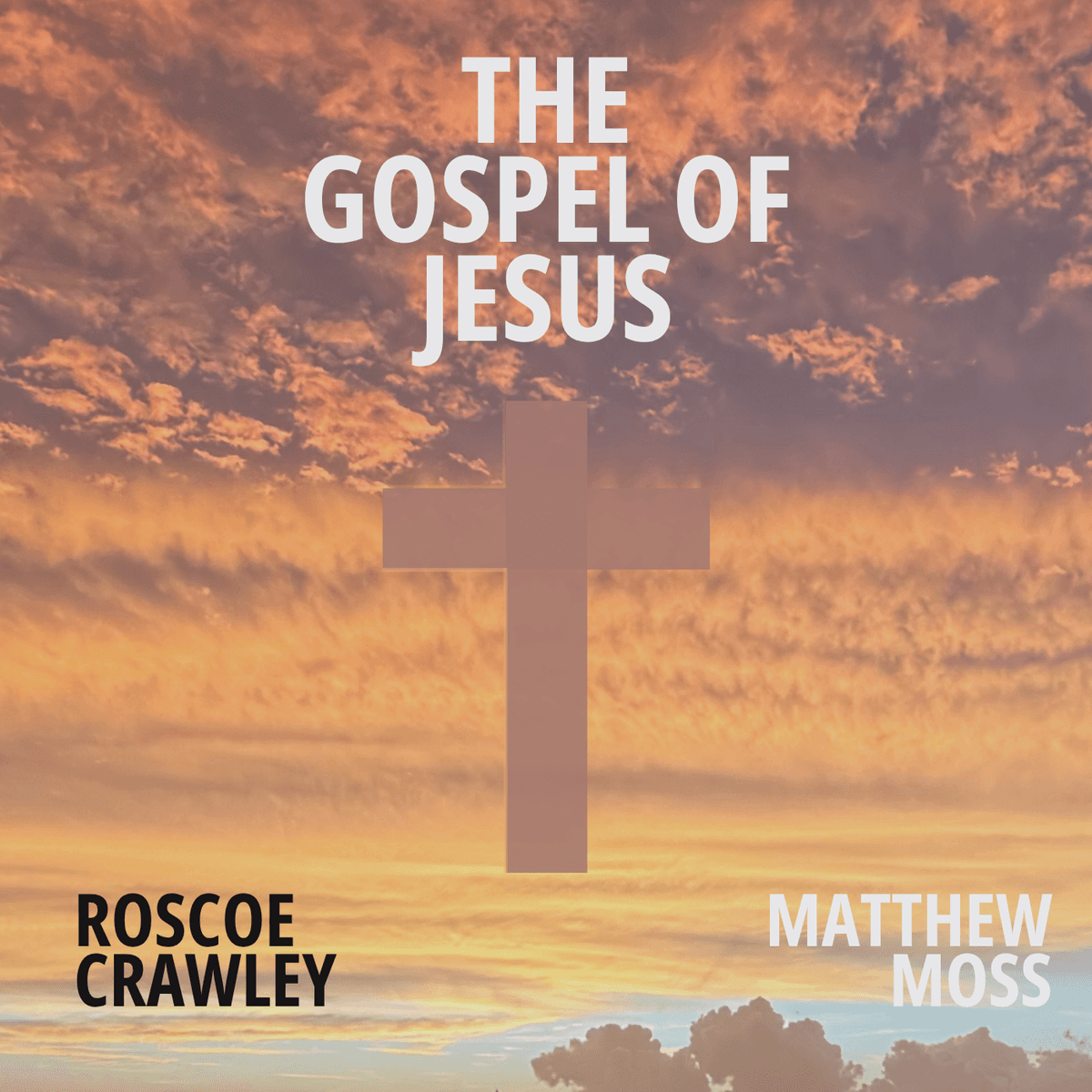 The Gospel of Jesus artwork
